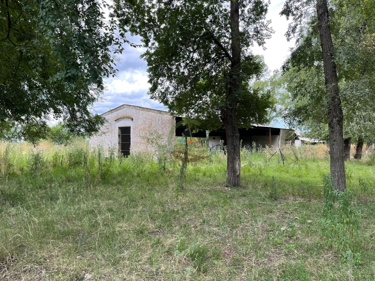 109 ha Feed Lot - Las Flores