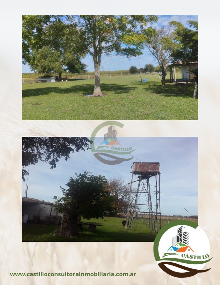 328 ha mixto - entre rios