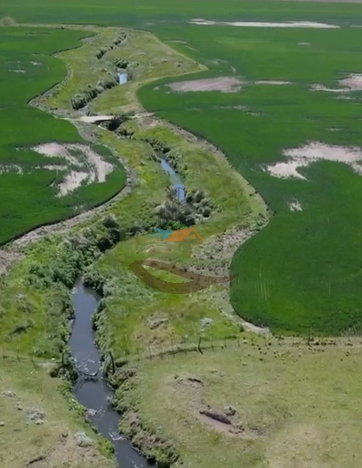 220 ha Agricolas - Balcarce  