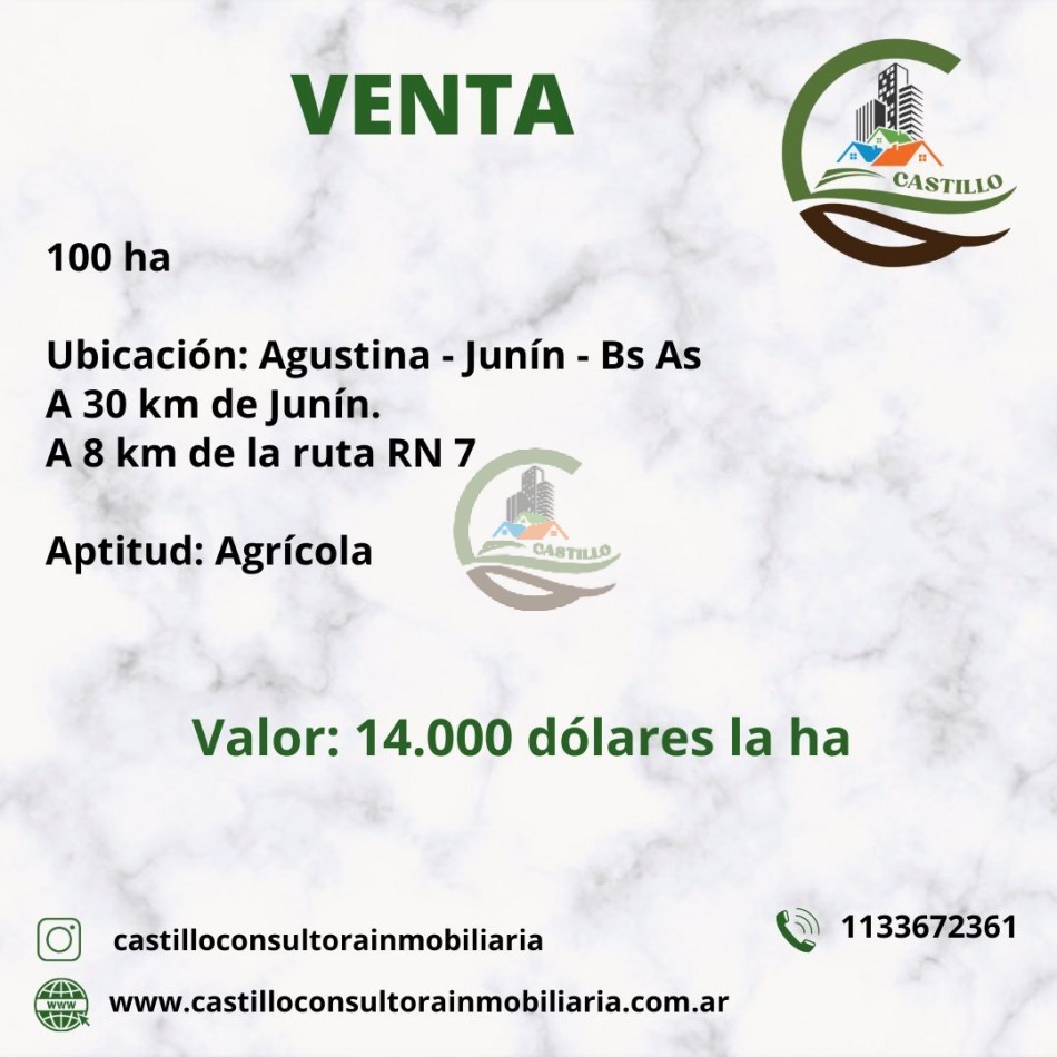 100 ha Agricolas - Junin