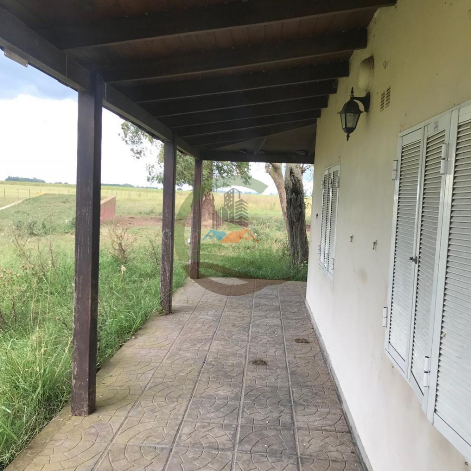 177 ha Mixtas - Pergamino 