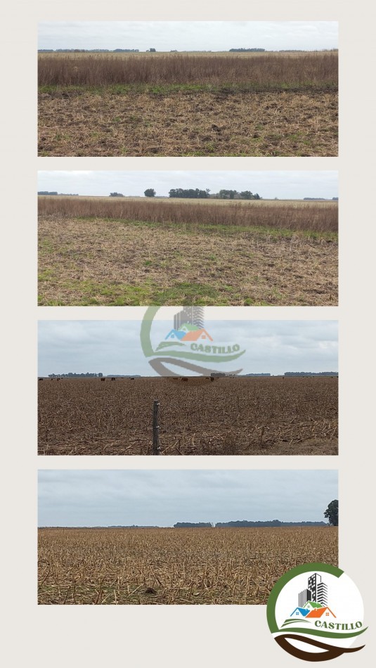 697 ha agricolas - bolivar