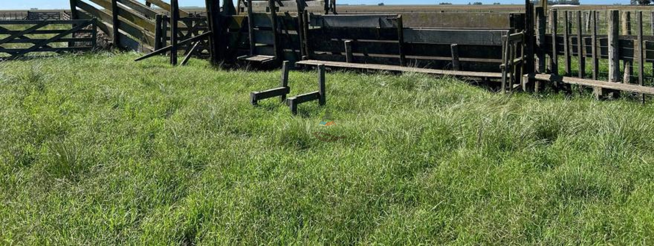 320 Ha Mixtos - Tres Arroyos