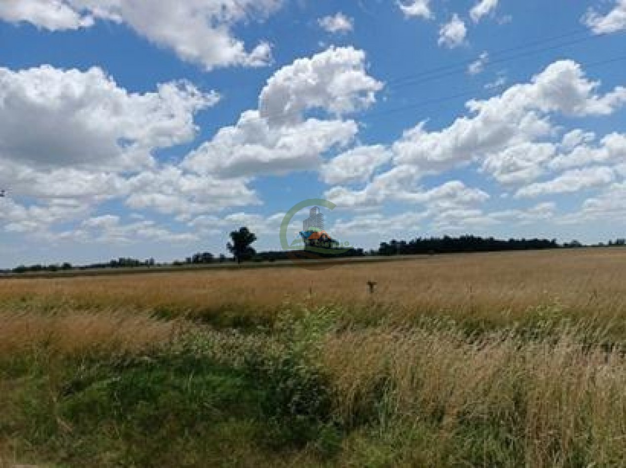 174 Ha Mixto - Brandsen