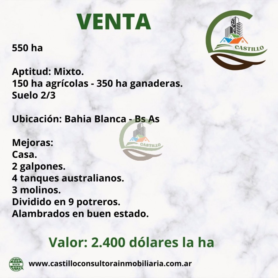 500 ha mixtas - bahia blanca