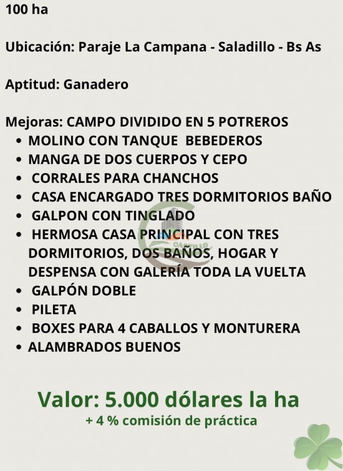 100 ha Ganaderas - Saladillo
