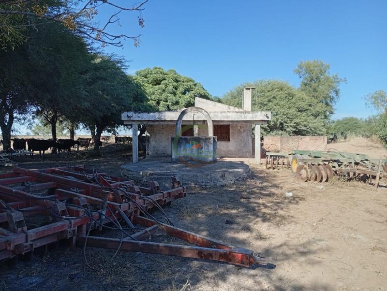 1300 Ha Agricolas - Fernandez - Santiago del Estero