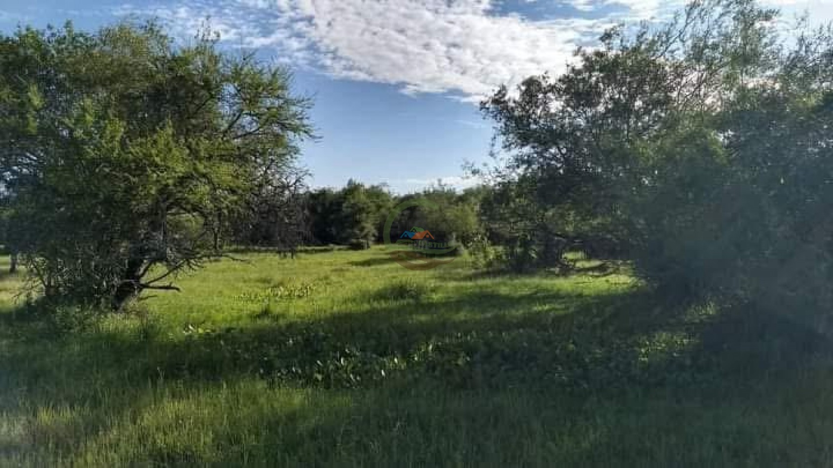 343 Ha Ganadero - Concordia - Entre Rios
