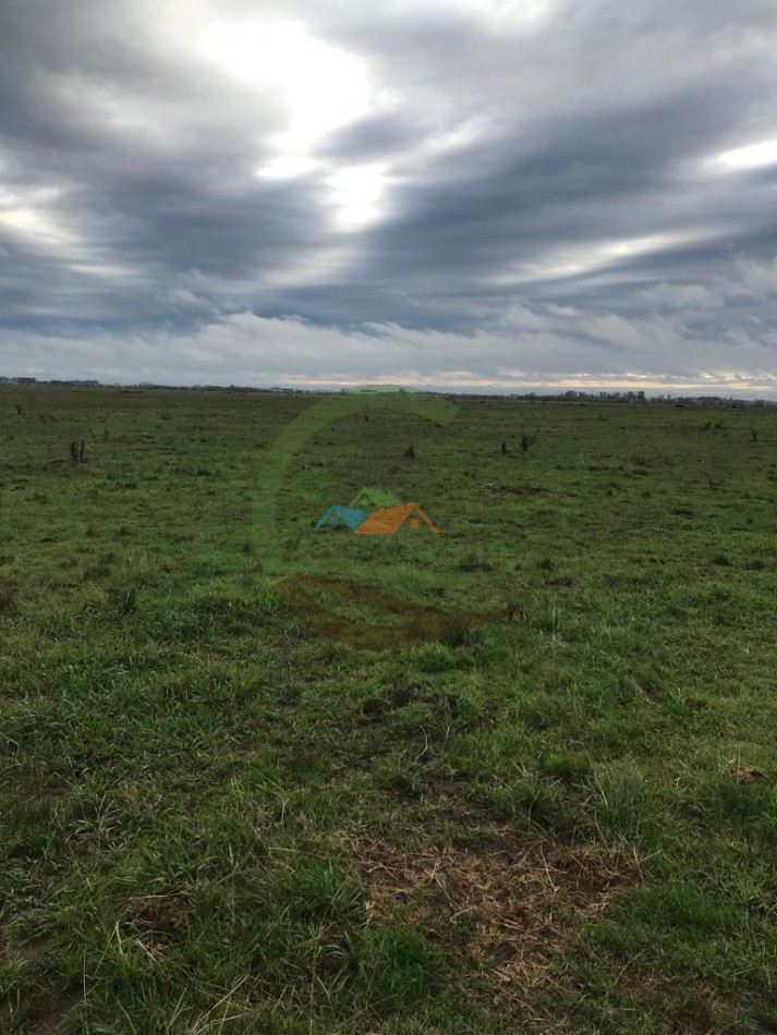 177 ha Mixtas - Pergamino 