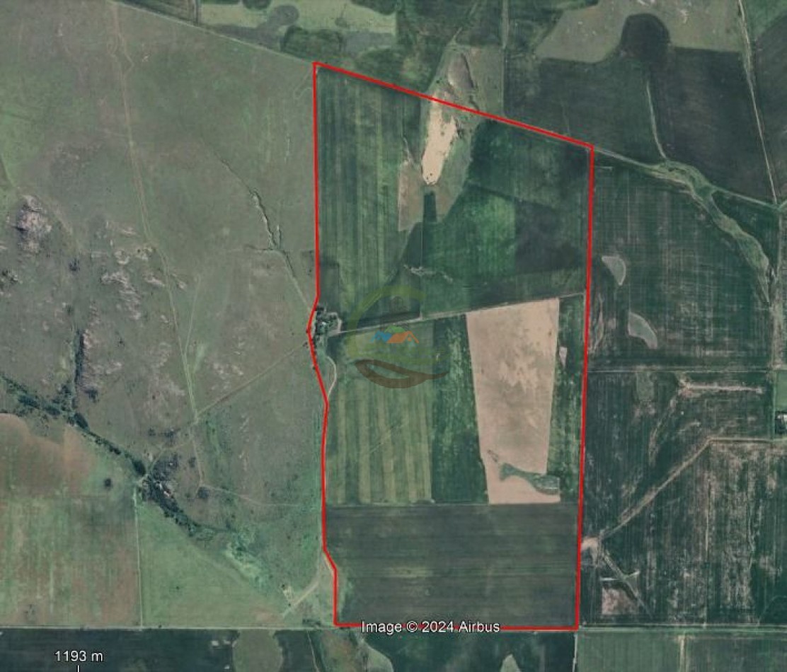 313 ha Agricolas - Chajan - Cordoba