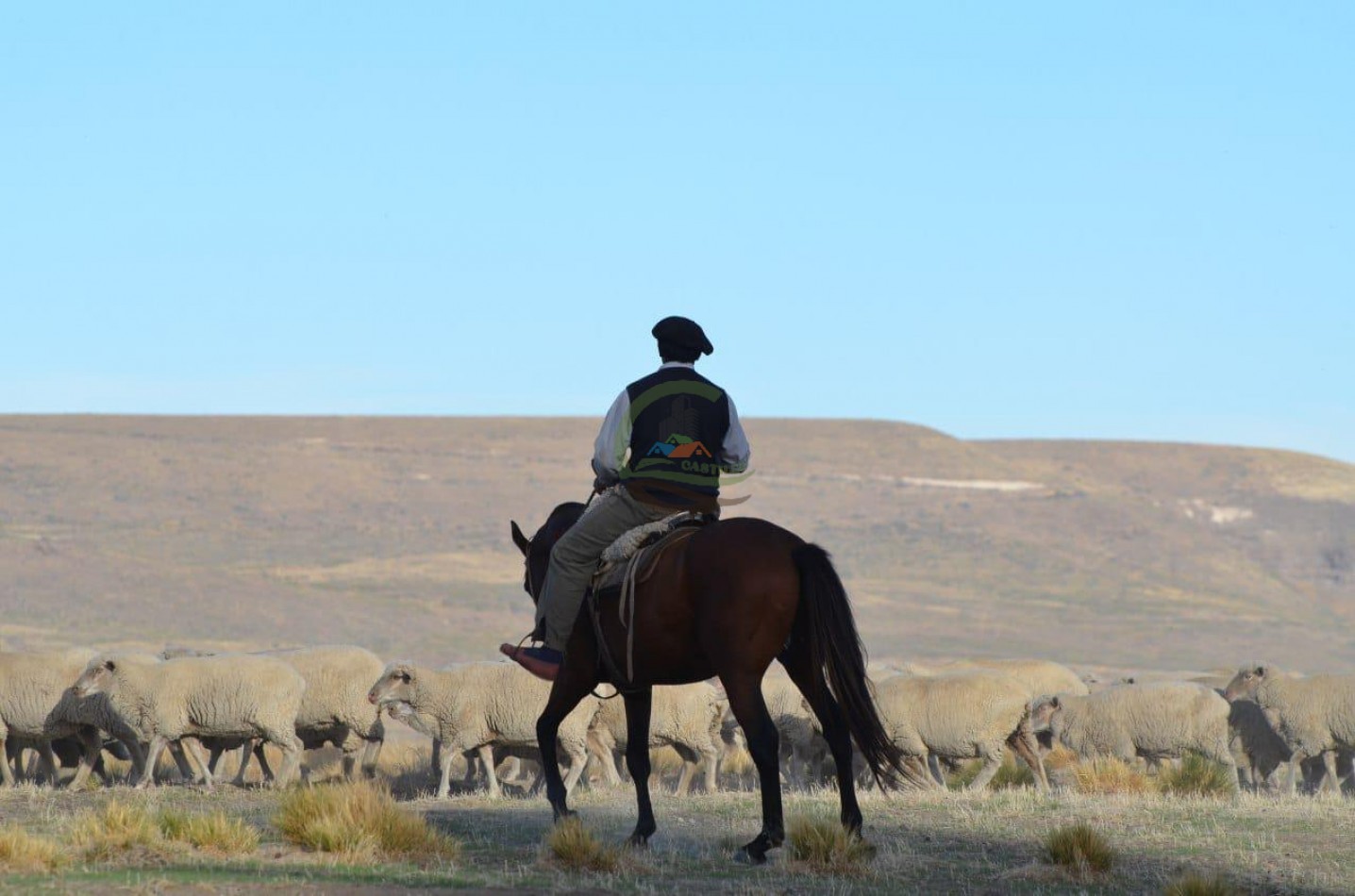 4047 Ha Ganadero - Coto de Caza - La Rinconada - Neuquen