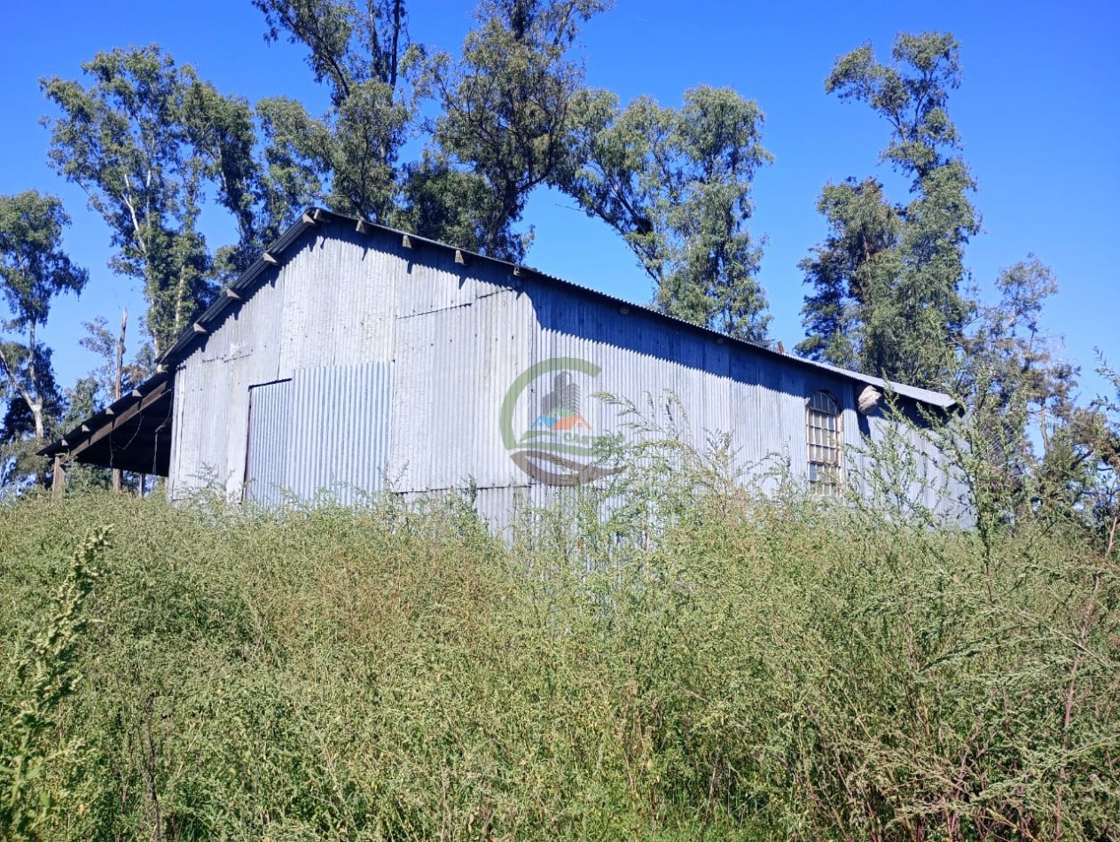 265 HA Agricolas - Saladillo