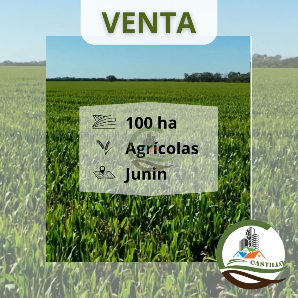 100 ha Agricolas - Junin