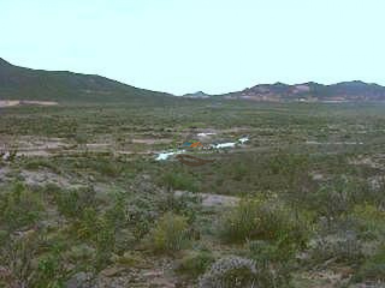 93000 ha Ganaderas - Pasos de los Indios - Chubut