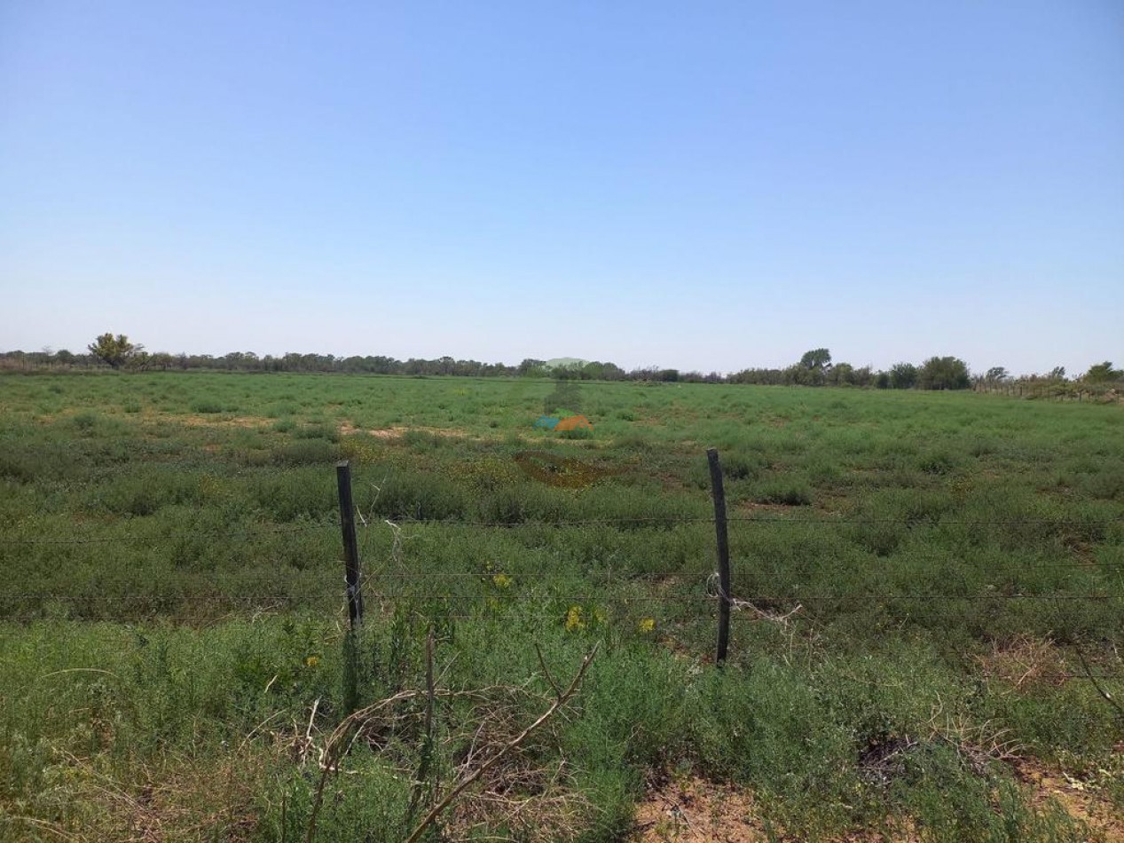 25 Ha Agricolas - Holmberg - Rio Cuarto