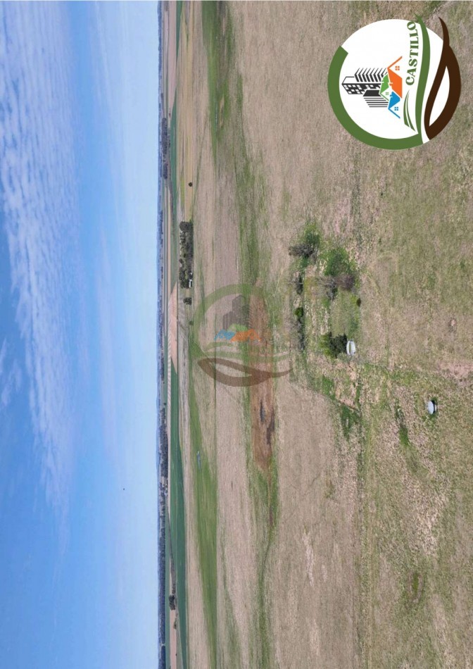 204 ha mixtas - olavarria