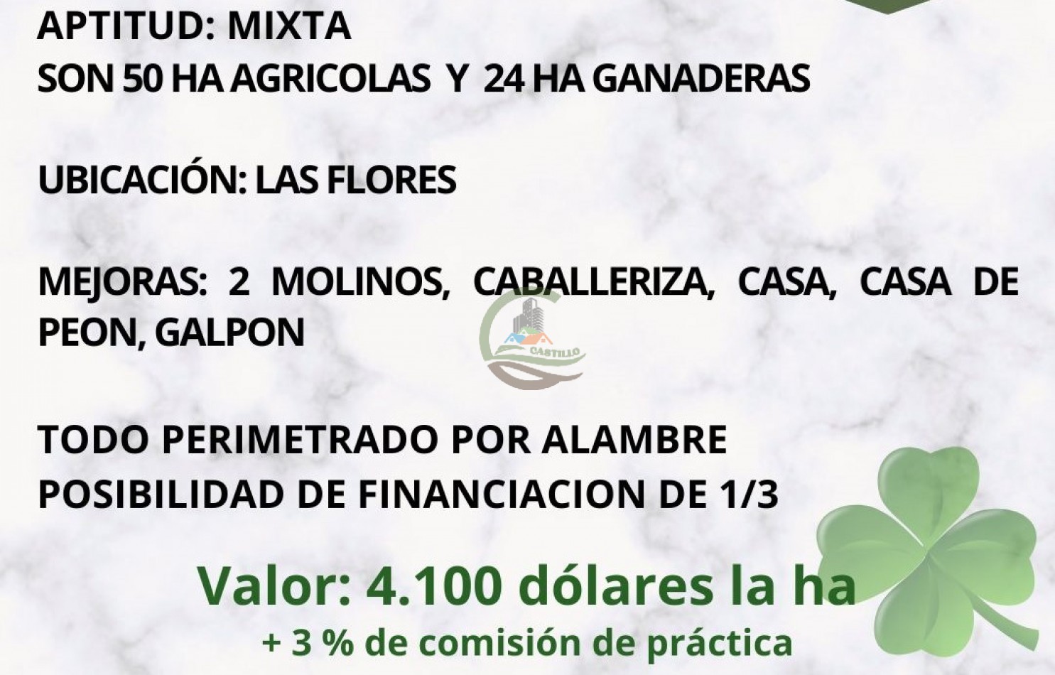 74 ha mixtas - las flores