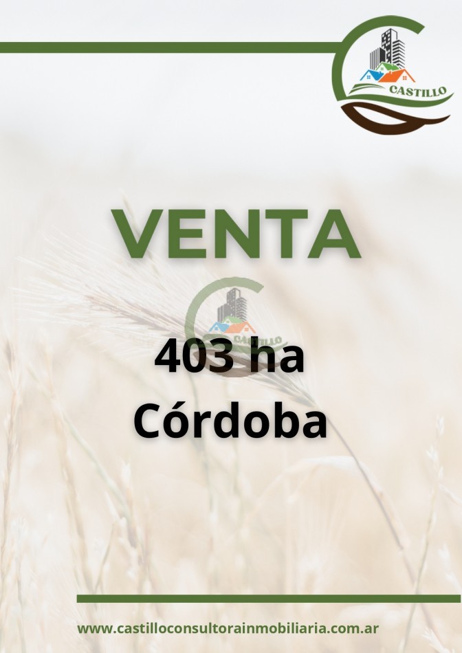 403 ha mixtas - rio cuarto