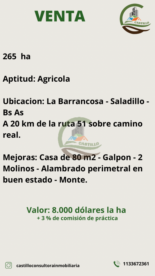 265 HA Agricolas - Saladillo