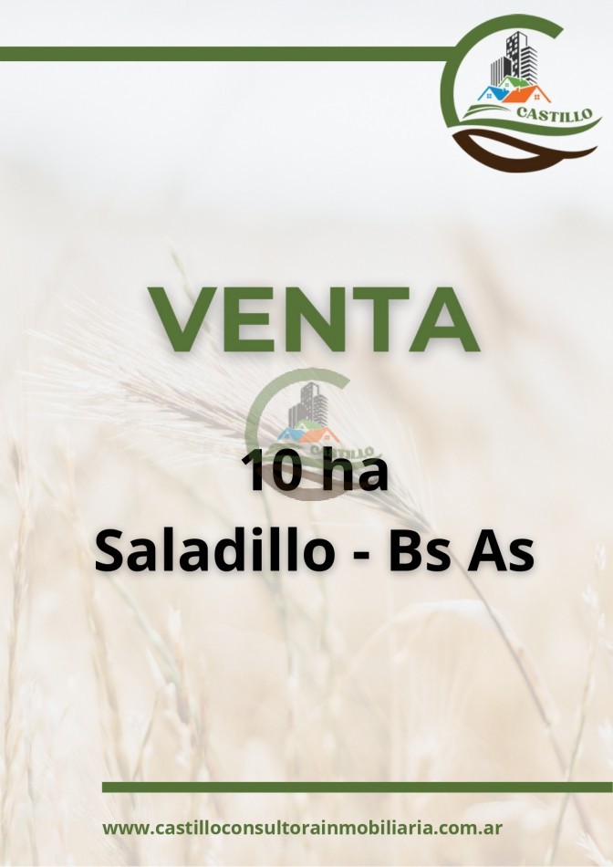 10 ha agricolas - saladillo