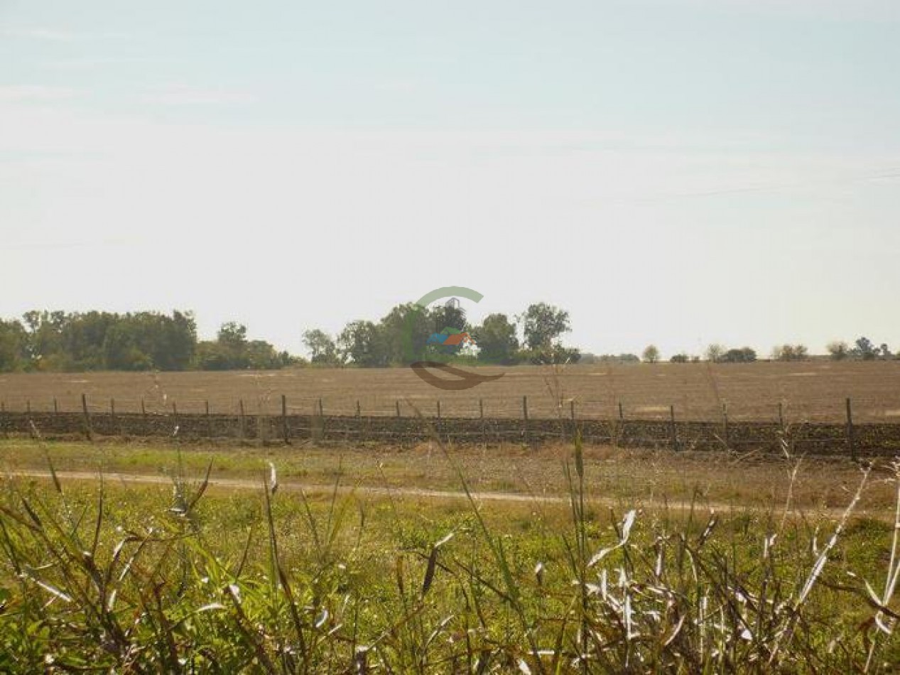 830 ha - Agricolas - Santa fe