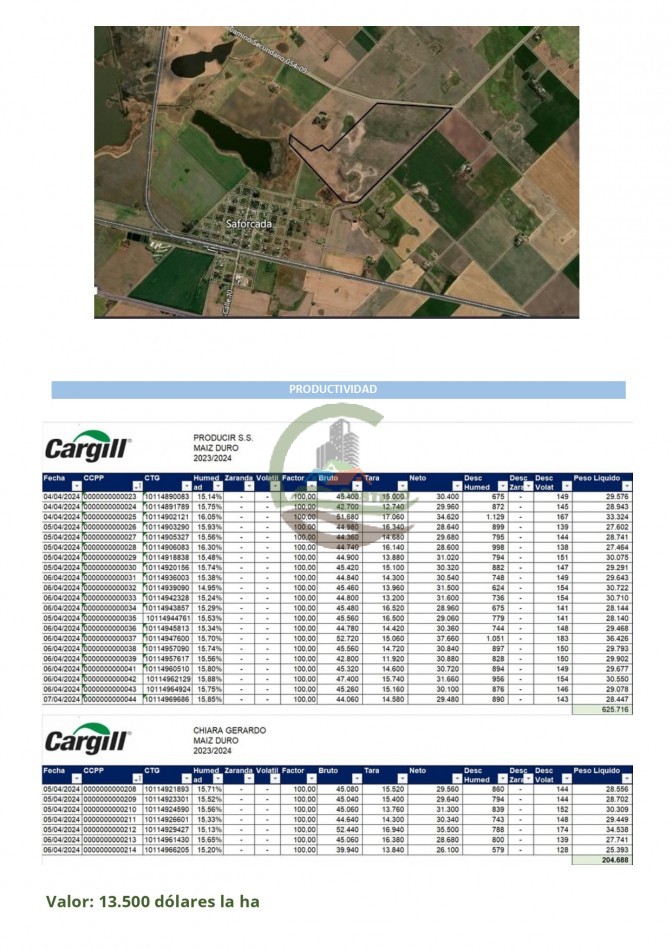 87 ha Agricolas - Junin
