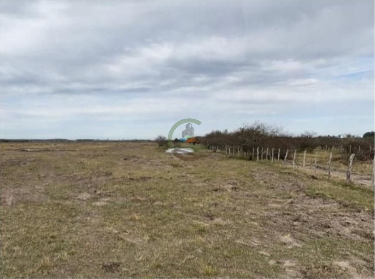 115 ha Mixto - San Salvador - Entre Rios
