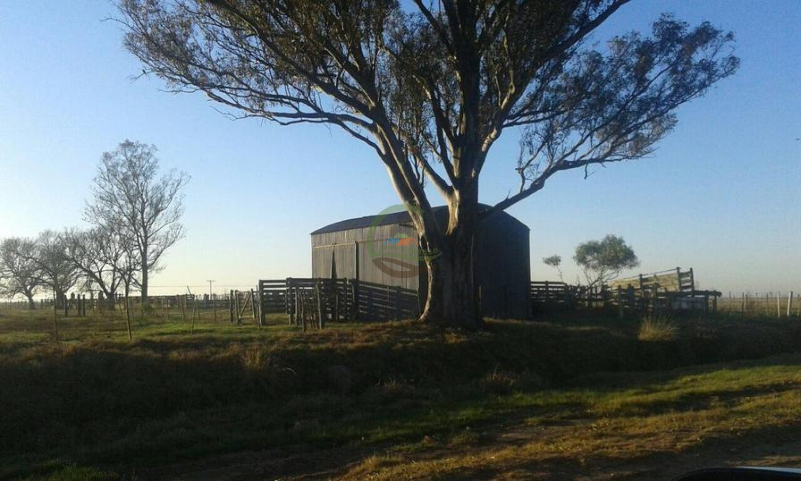 2000 ha Agricolas - San Fernando - Cordoba
