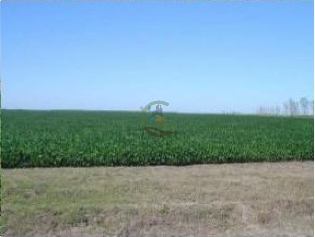 693 Ha Mixtas - Murphy - Santa Fe