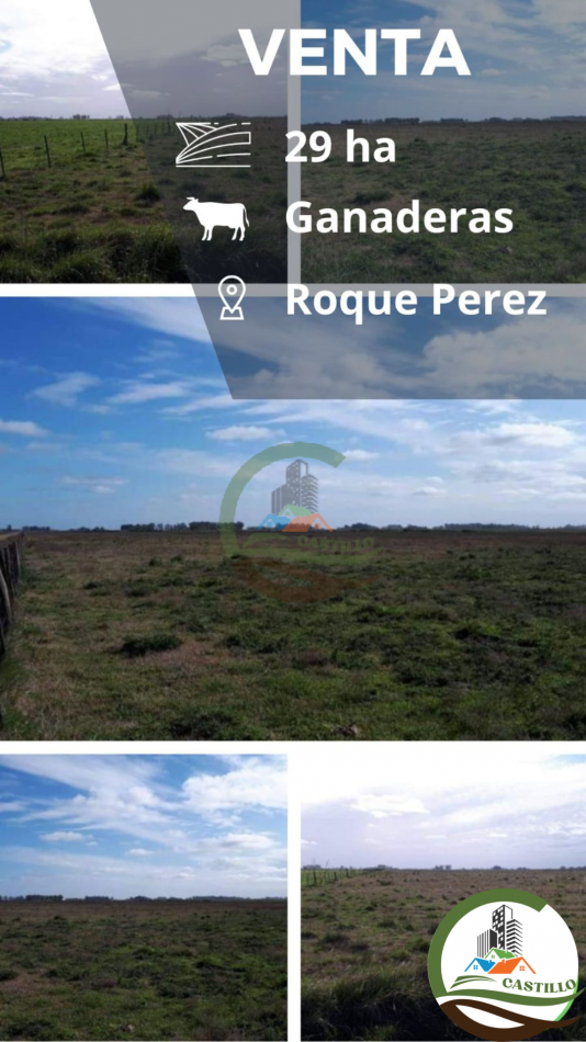 29 ha ganaderas - roque perez