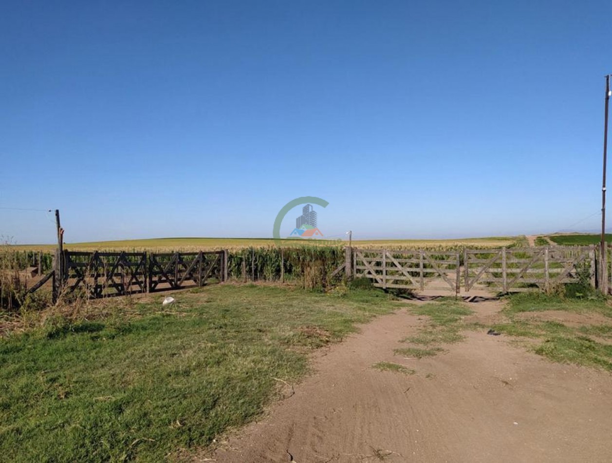 1120 Ha Mixto - Rio Cuarto - Cordoba