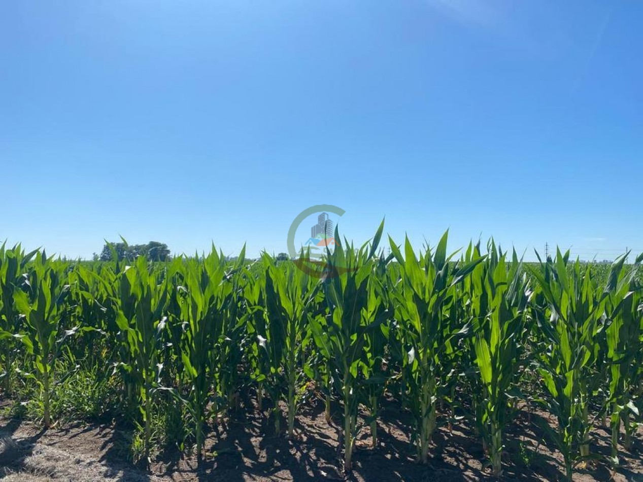 58 Ha Agricolas - Bolivar