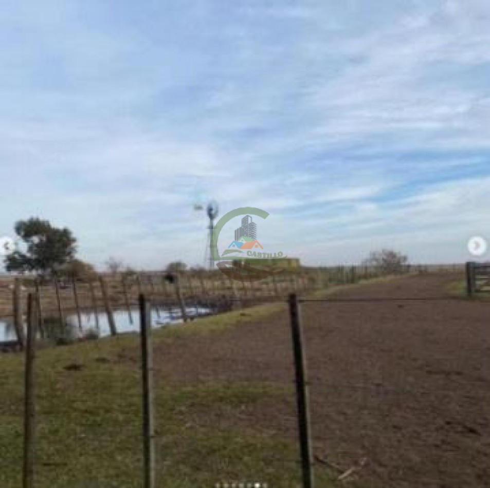 3290 ha Mixtas - Carlos Tejedor