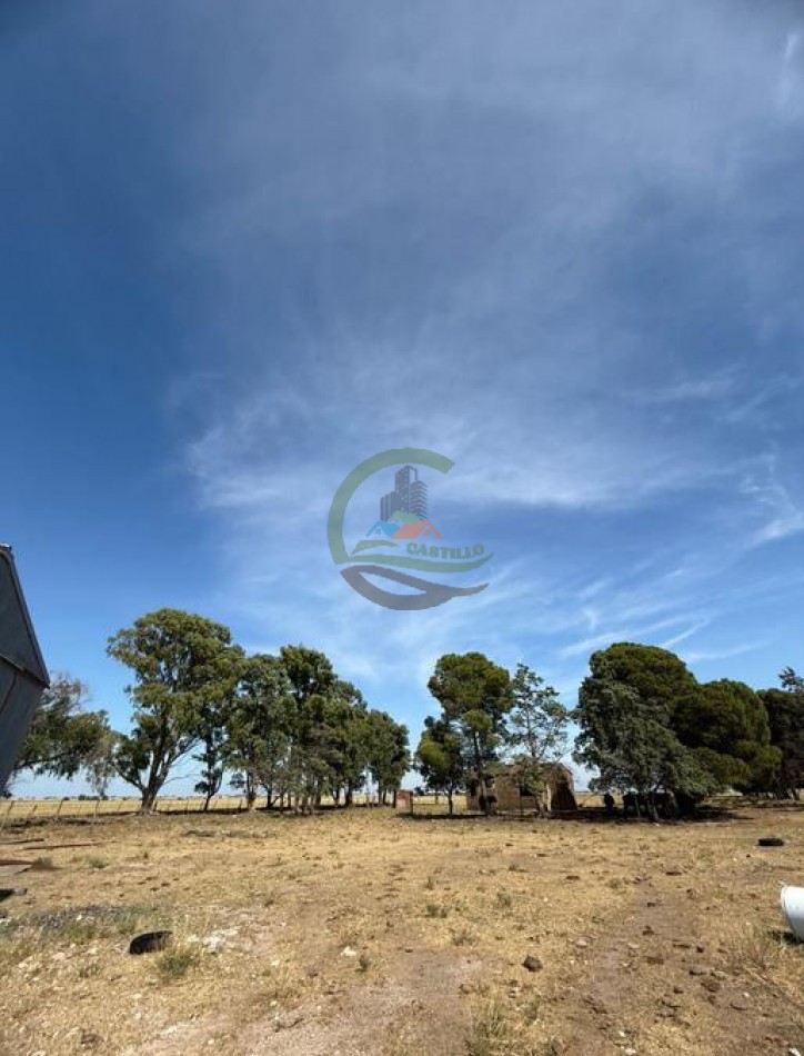 200 Ha Ganadero - Villa Iris - Buenos Aires