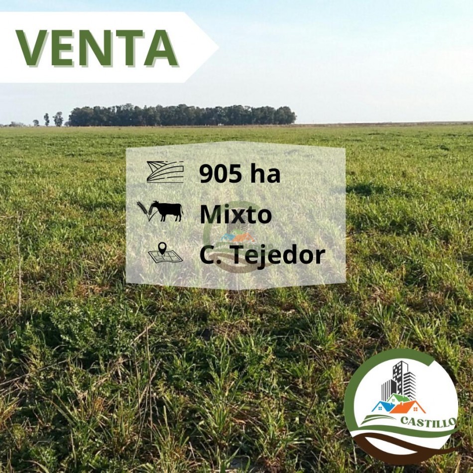 931 ha Mixto - Carlos Tejedor