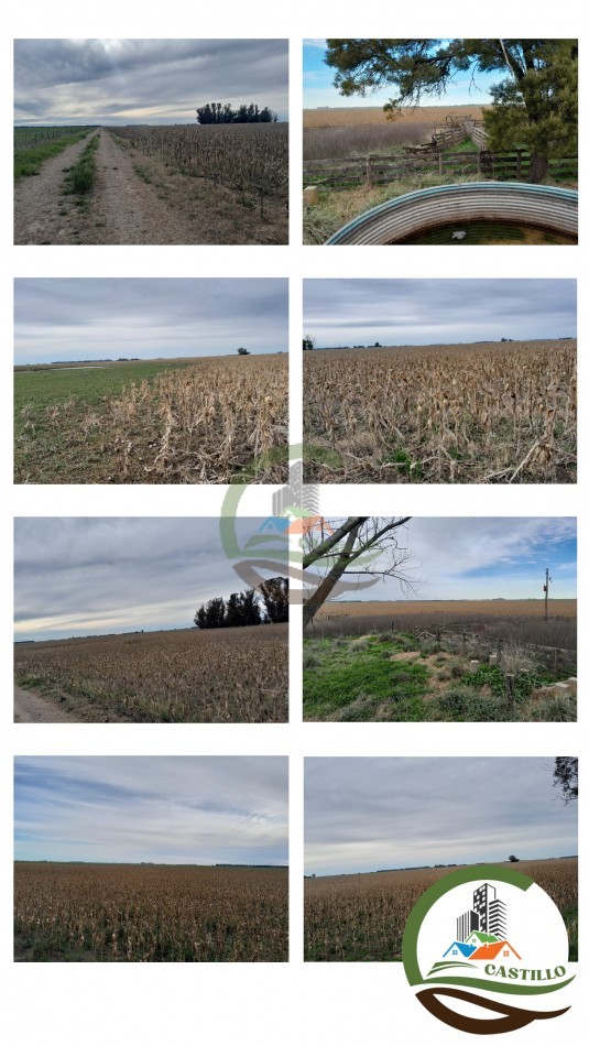 220 ha agricolas - san cayetano