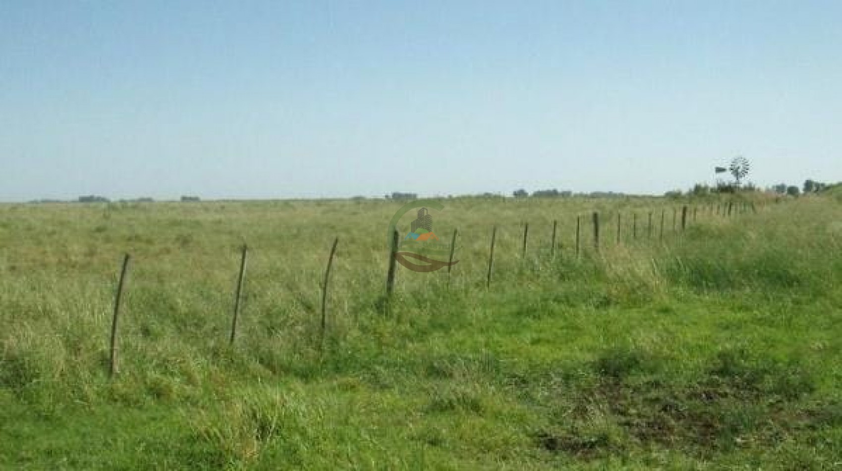 900 ha Ganadera - Tapalque 
