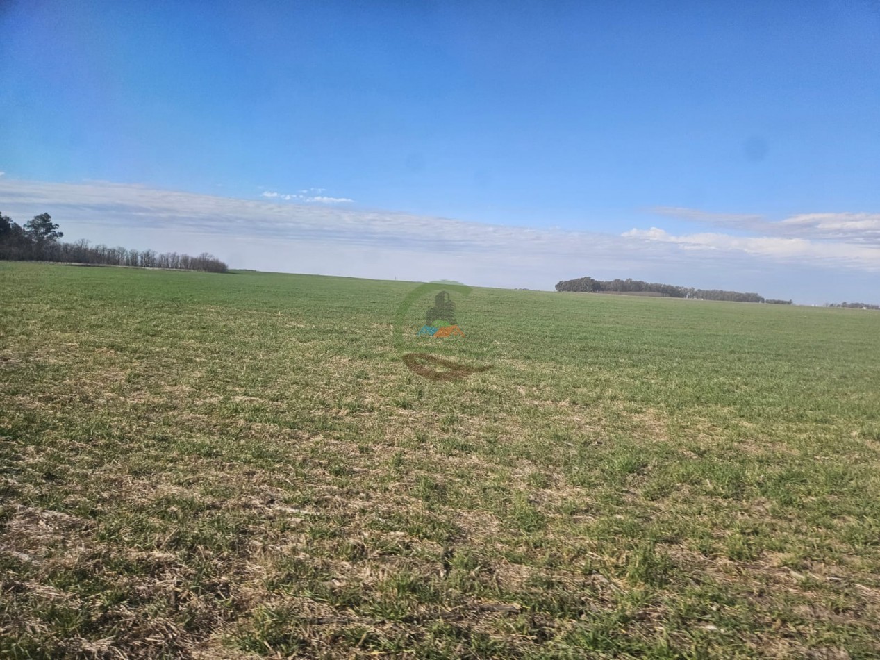 797 ha Agricolas - Bolivar