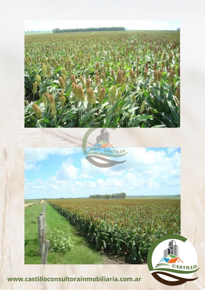 2109 ha mixtas - uruguay