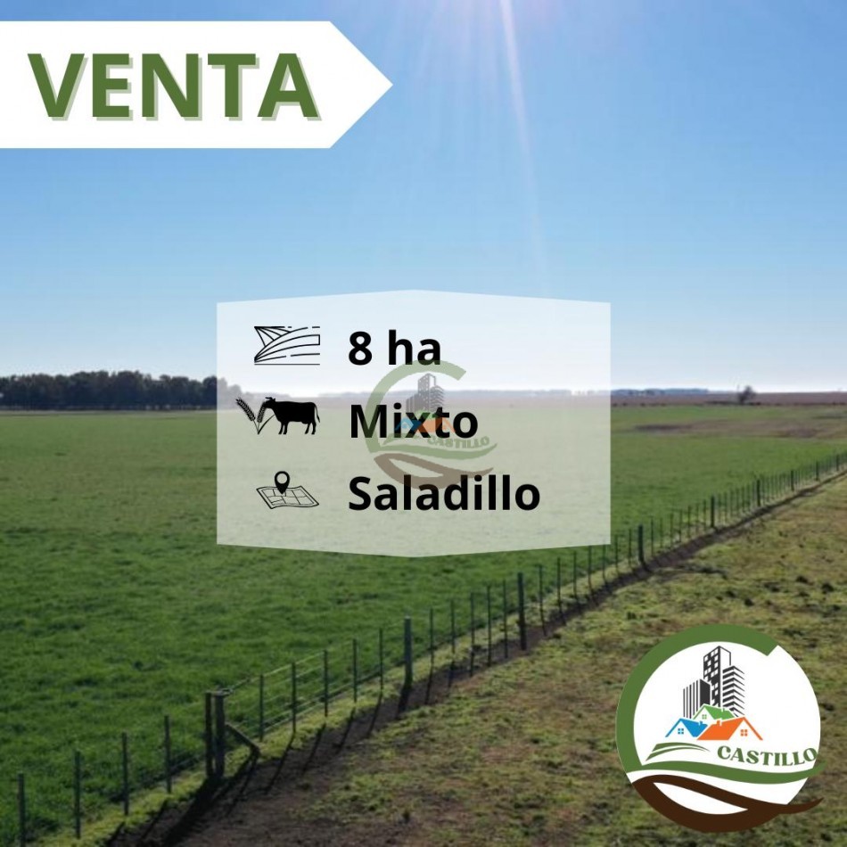8 ha mixtas - Saladillo