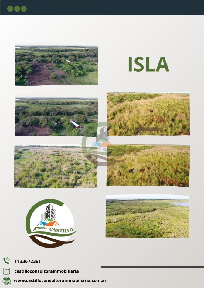 100 Ha Agricolas + 1145 Ha. de Isla - Entre rios