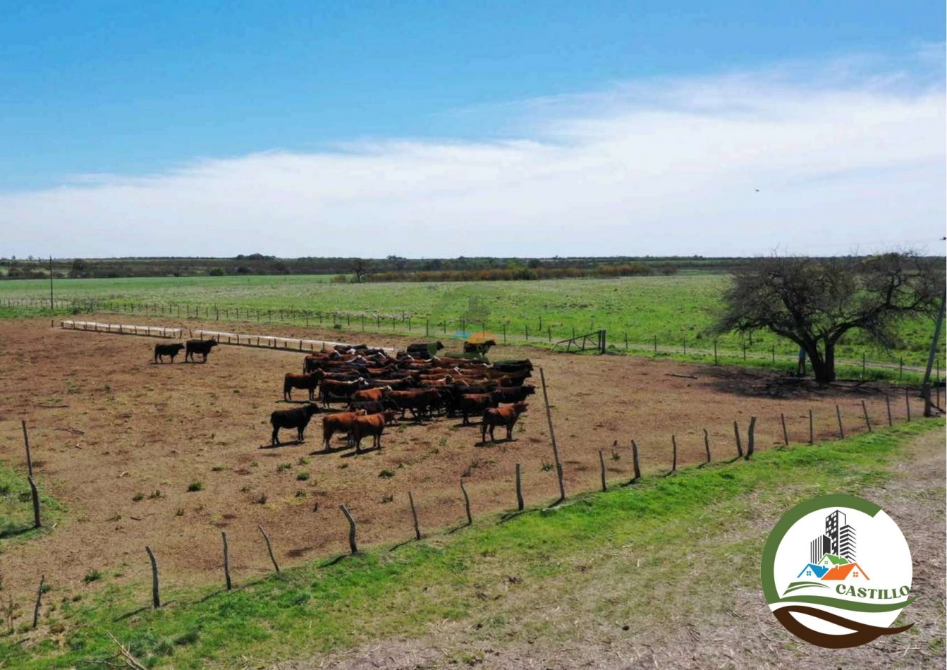 2658 ha Mixto - Entre Rios
