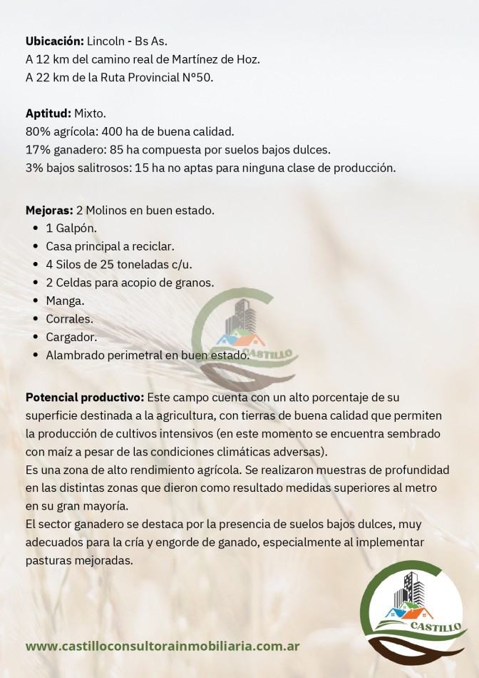 500 ha mixto - lincoln