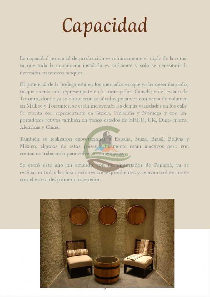 Bodega - Cafayate