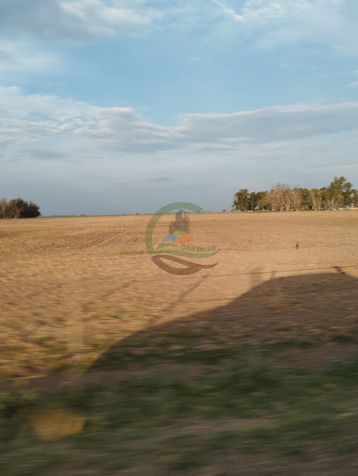256 ha Mixto - Saladillo