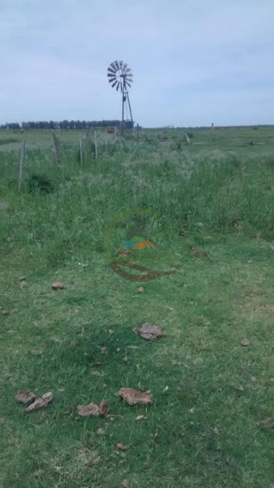 632 Ha Mixtas - Galvez - Santa Fe