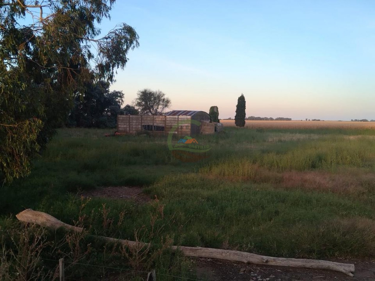 280 Ha Agricolas - General Alvear