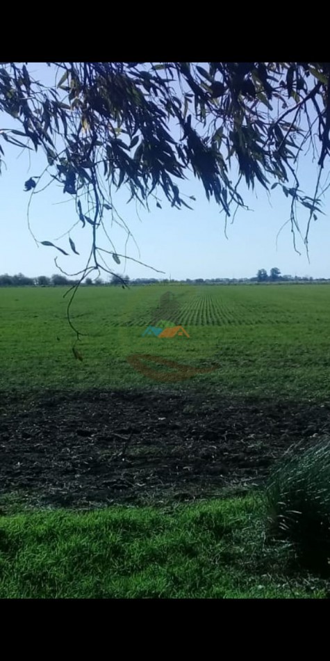 15 ha Agricolas - Cañuelas