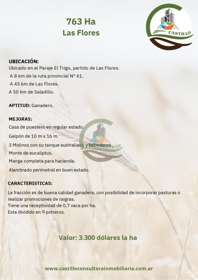 763 ha ganadero - las flores