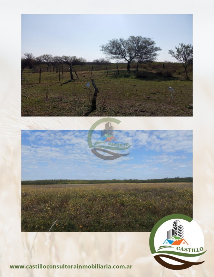 328 ha mixto - entre rios